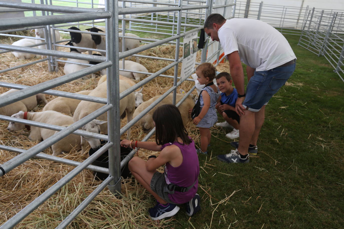 La 49ª Feria Agroalimentaria de Llanera, en imágenes