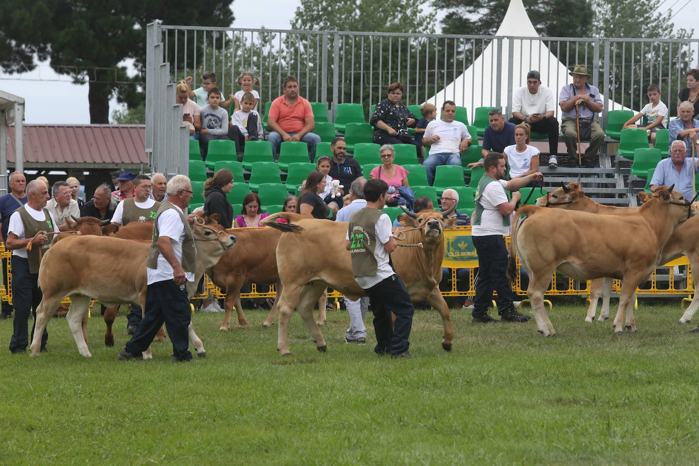 La 49ª Feria Agroalimentaria de Llanera, en imágenes