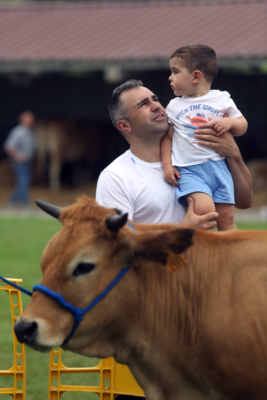 La 49ª Feria Agroalimentaria de Llanera, en imágenes