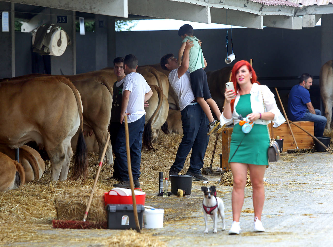 La 49ª Feria Agroalimentaria de Llanera, en imágenes