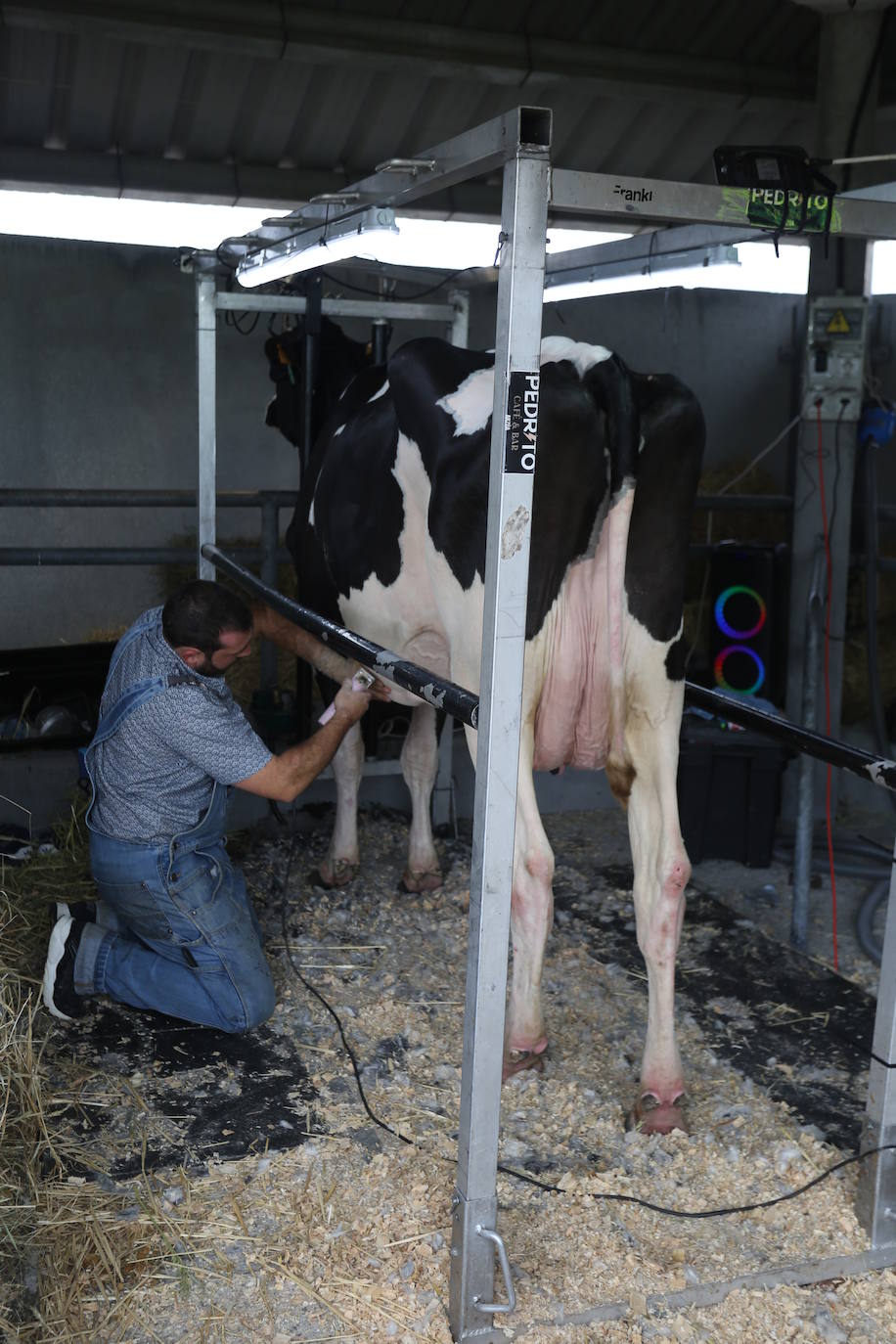 La 49ª Feria Agroalimentaria de Llanera, en imágenes