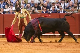 Morante de la Puebla, en la Maestranza.