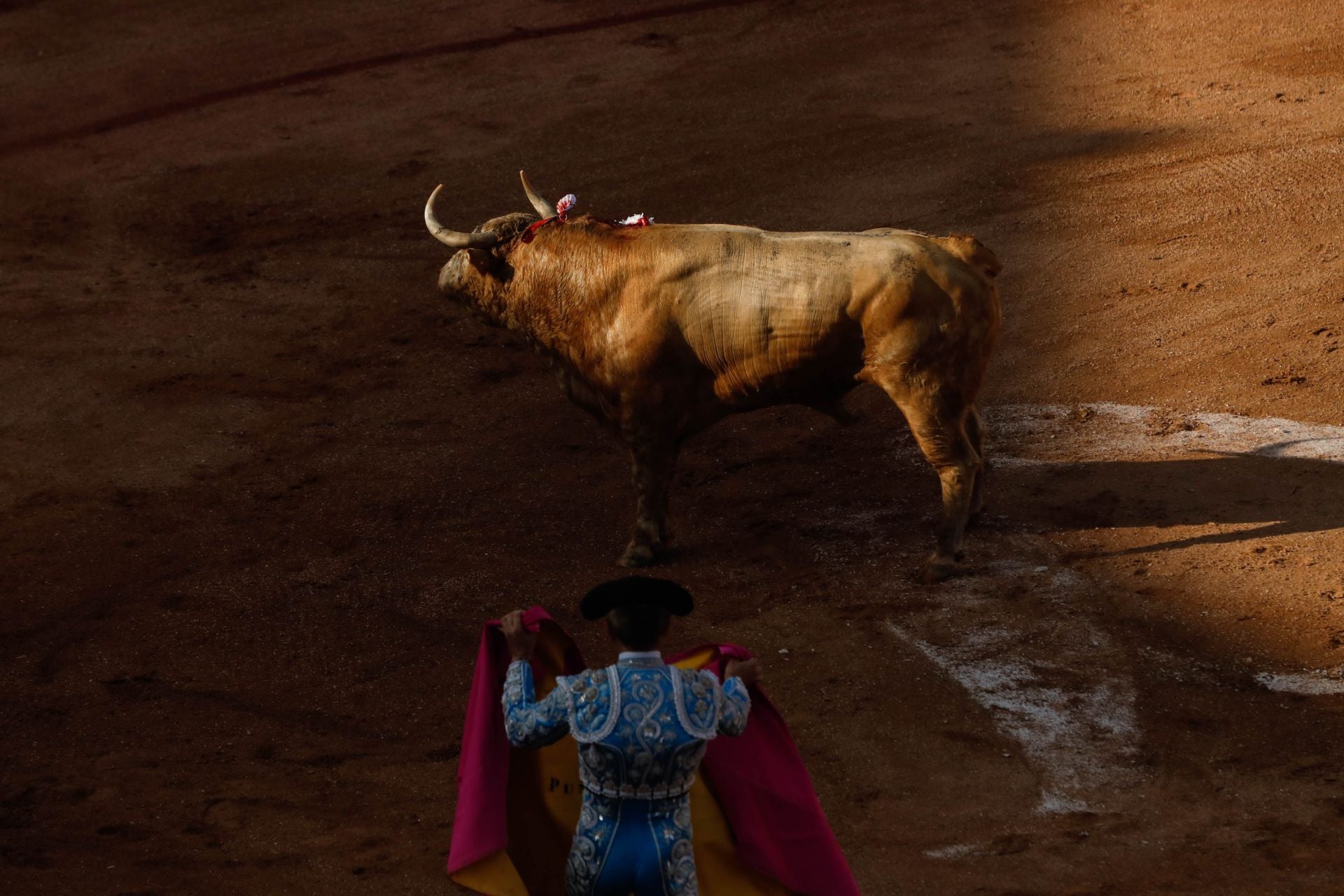 Último día de toros en Gijón