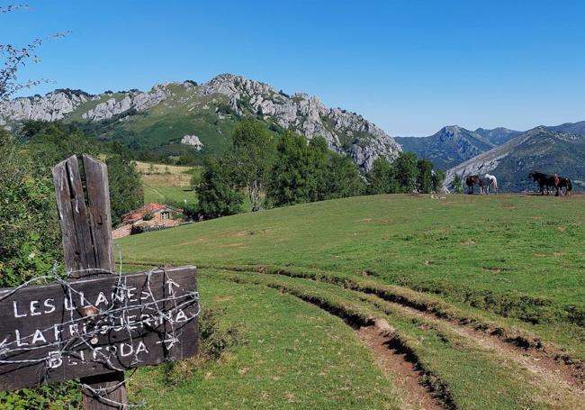 La Braña, uno de los bellos parajes por los que transita esta ruta a La Conyonada.