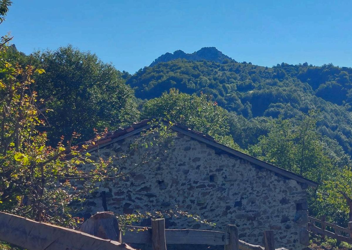 Imagen secundaria 1 - Vistas al Retriñón/ Peña La Conyonada emergiendo en el horizonte de la caminata/ vistas hacia la Felguerina, encalavada entre bosques 