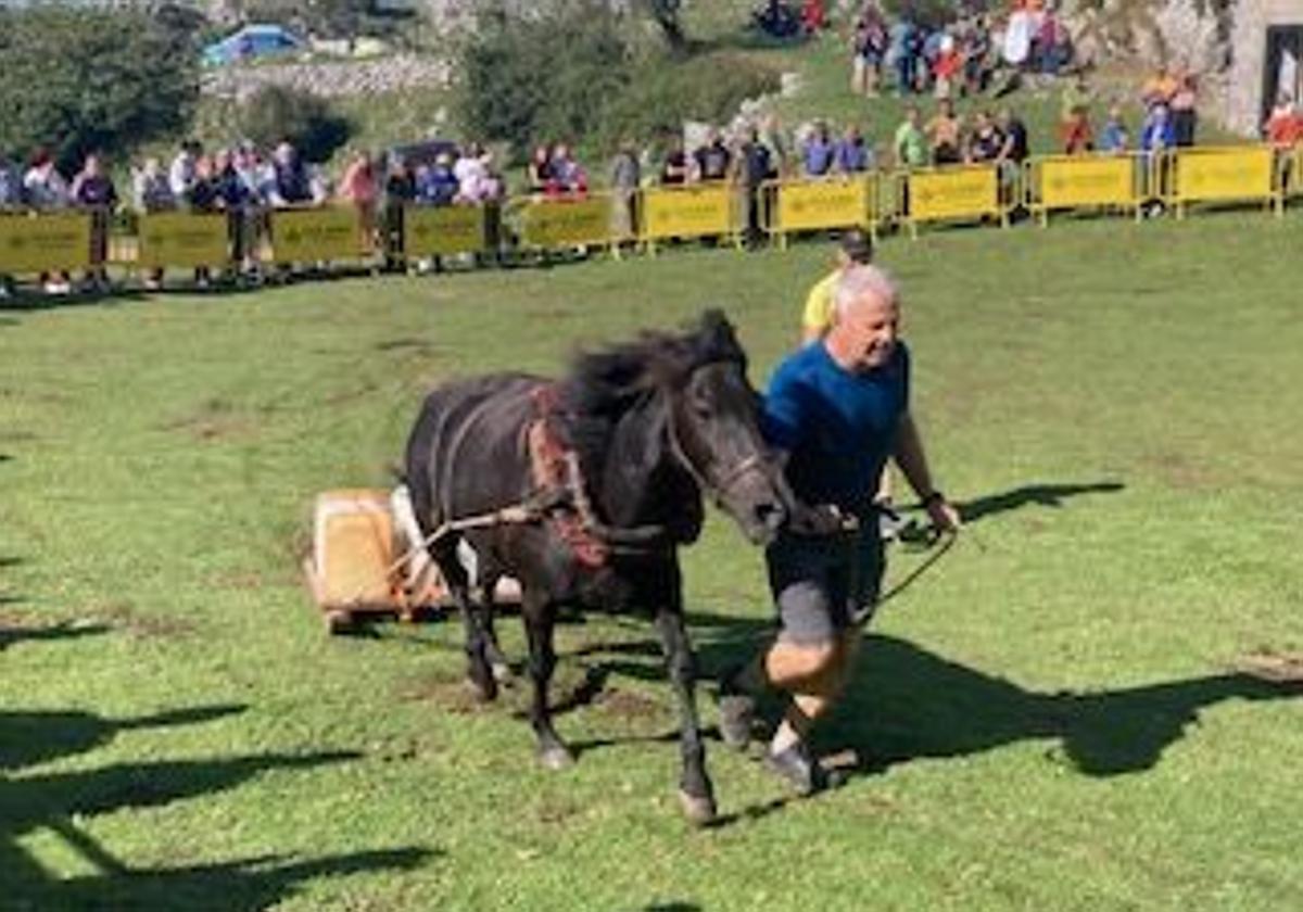 La exhibición de arrastre celebrada por la mañana, antes de que el tiempo obligase a suspender las actividades.