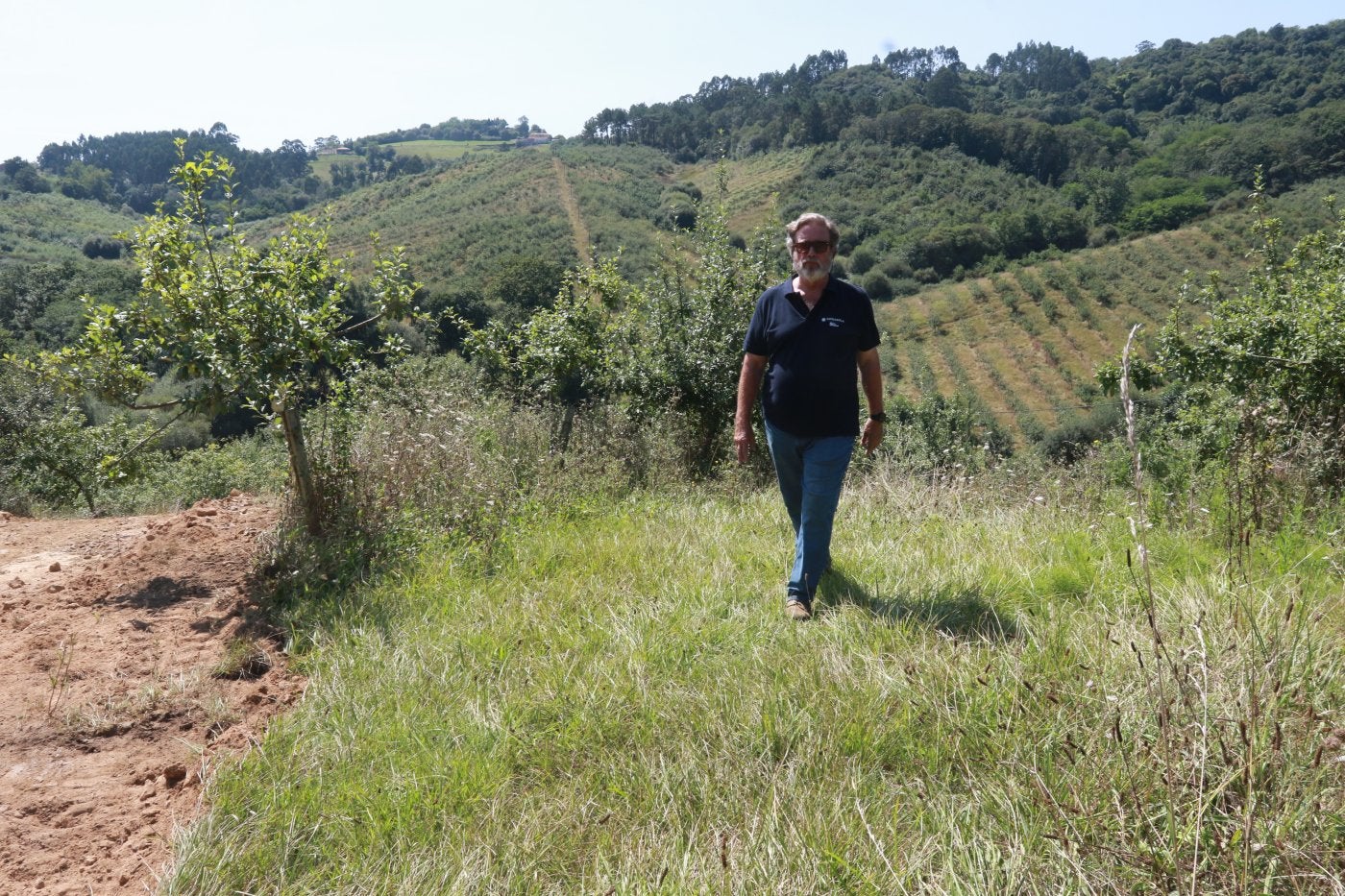 El productor de manzana Guillermo Guisasola enseña una de sus pomaradas.