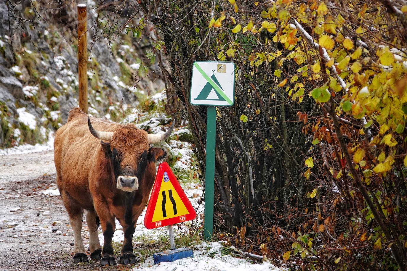 En el corazón de los Picos de Europa: Sotres, un pueblo de altura y de postal