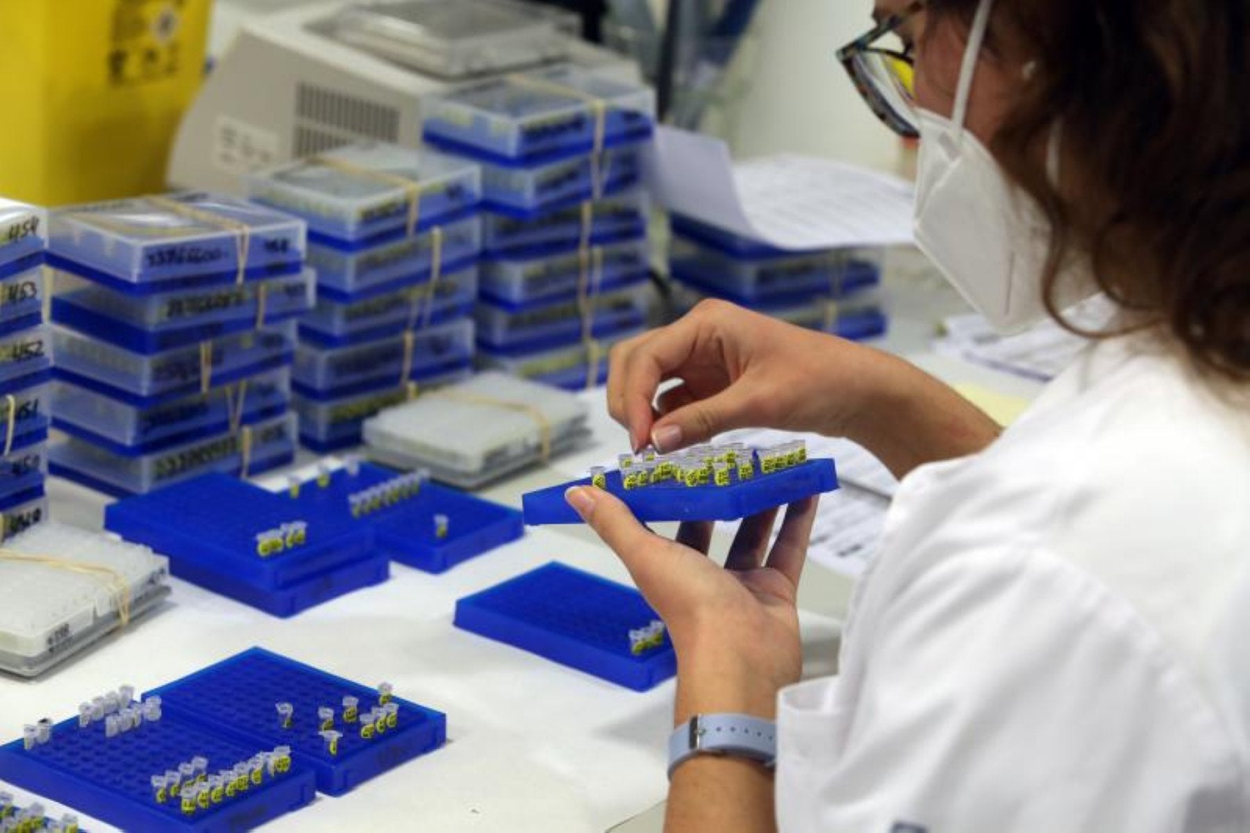 Laboratorio de Microbiología del HUCA.