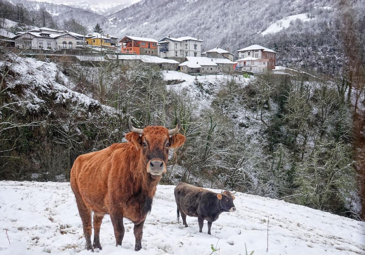 Nevada en San Juan de Beleño.