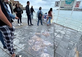 Las medusas suben al Muro de San Lorenzo