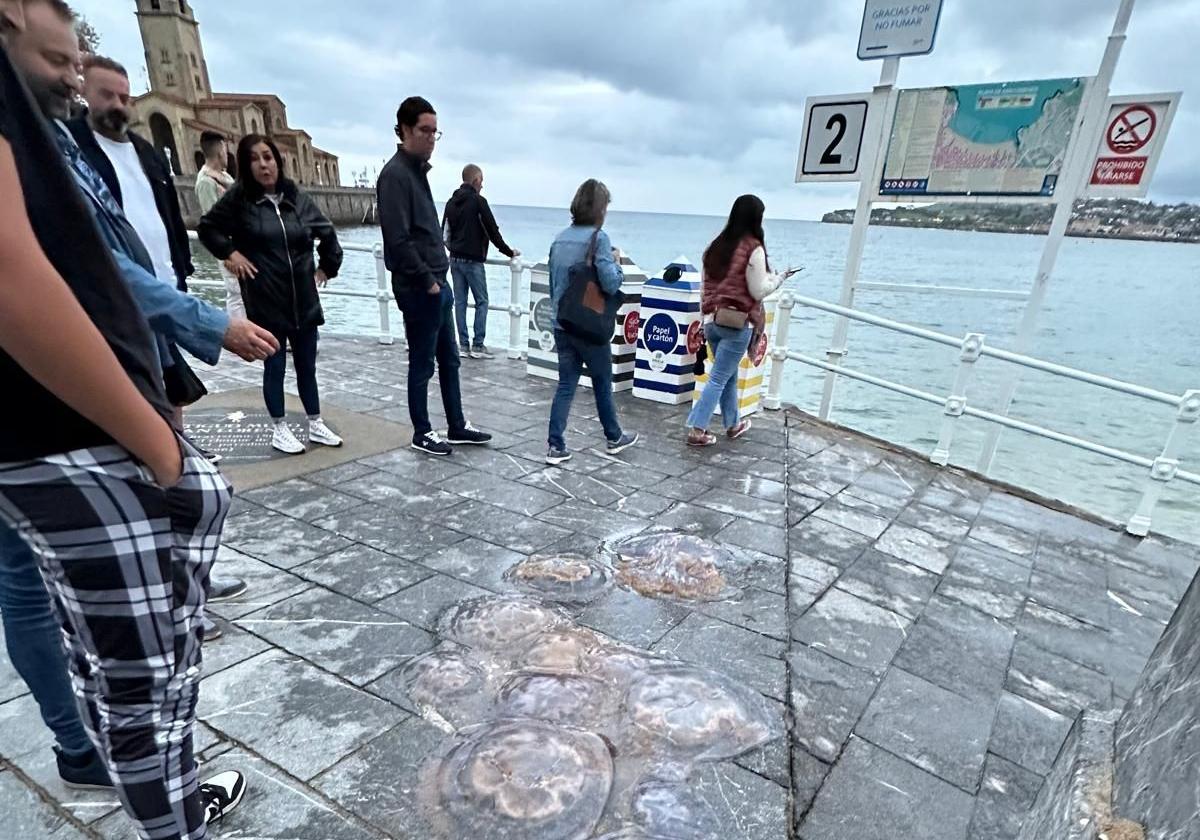 Las medusas suben al Muro de San Lorenzo