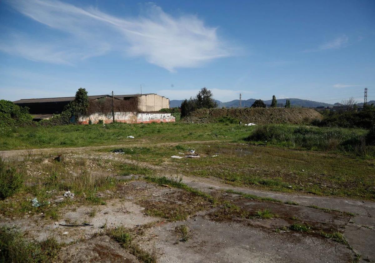 Parte de los terrenos afectados por el trazado del vial de Jove.