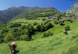 Vista del pueblo de Gamonéu, en Onís.