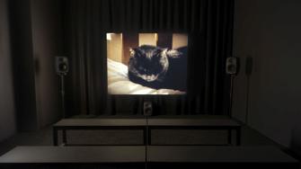 David Esteban Ferrando