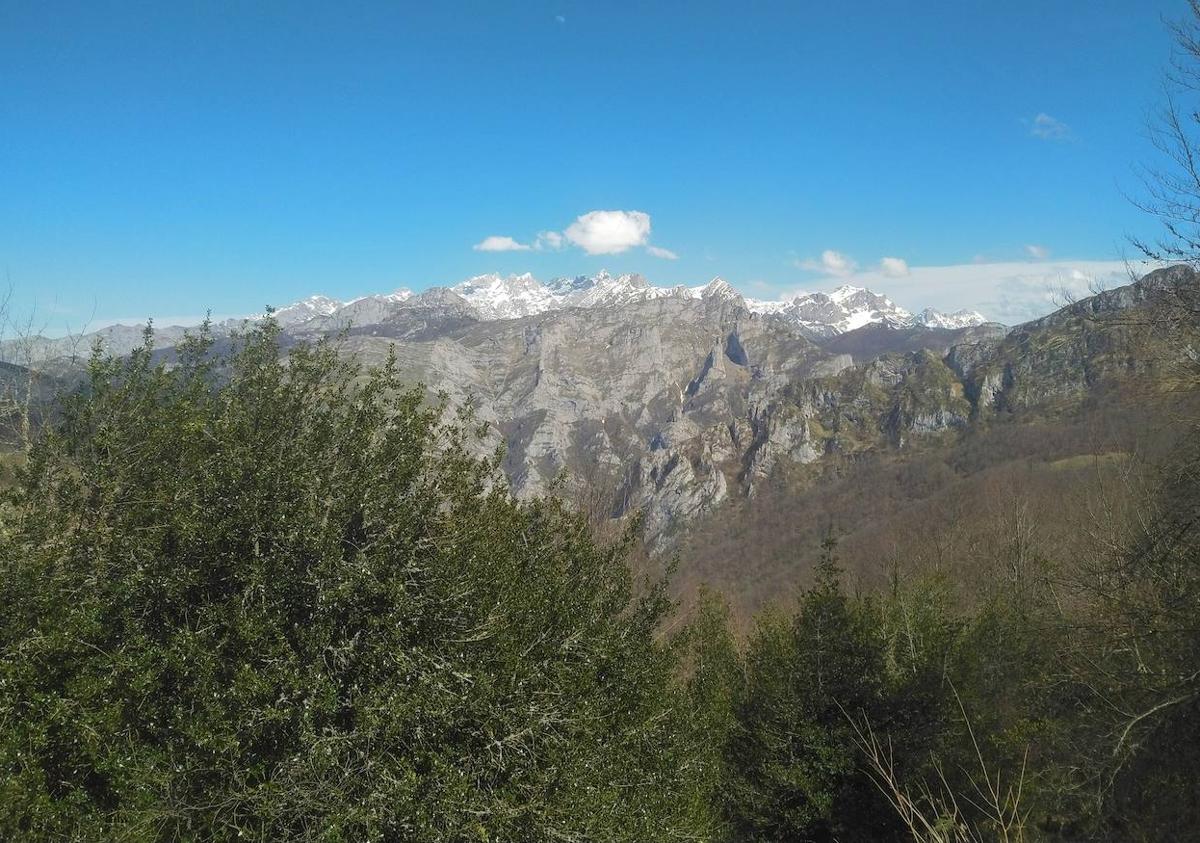 Imagen secundaria 1 - Braña Espines, uno de los lugares por los que pasa la ruta a Peña Manteca/ vistas a los Picos de Europa desde el mágico bosque de Peloñu/ cascada de Xurbeo