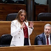 Vox vaticina que Barbón «pasará a la historia por ser el presidente que perdió a Arcelor»