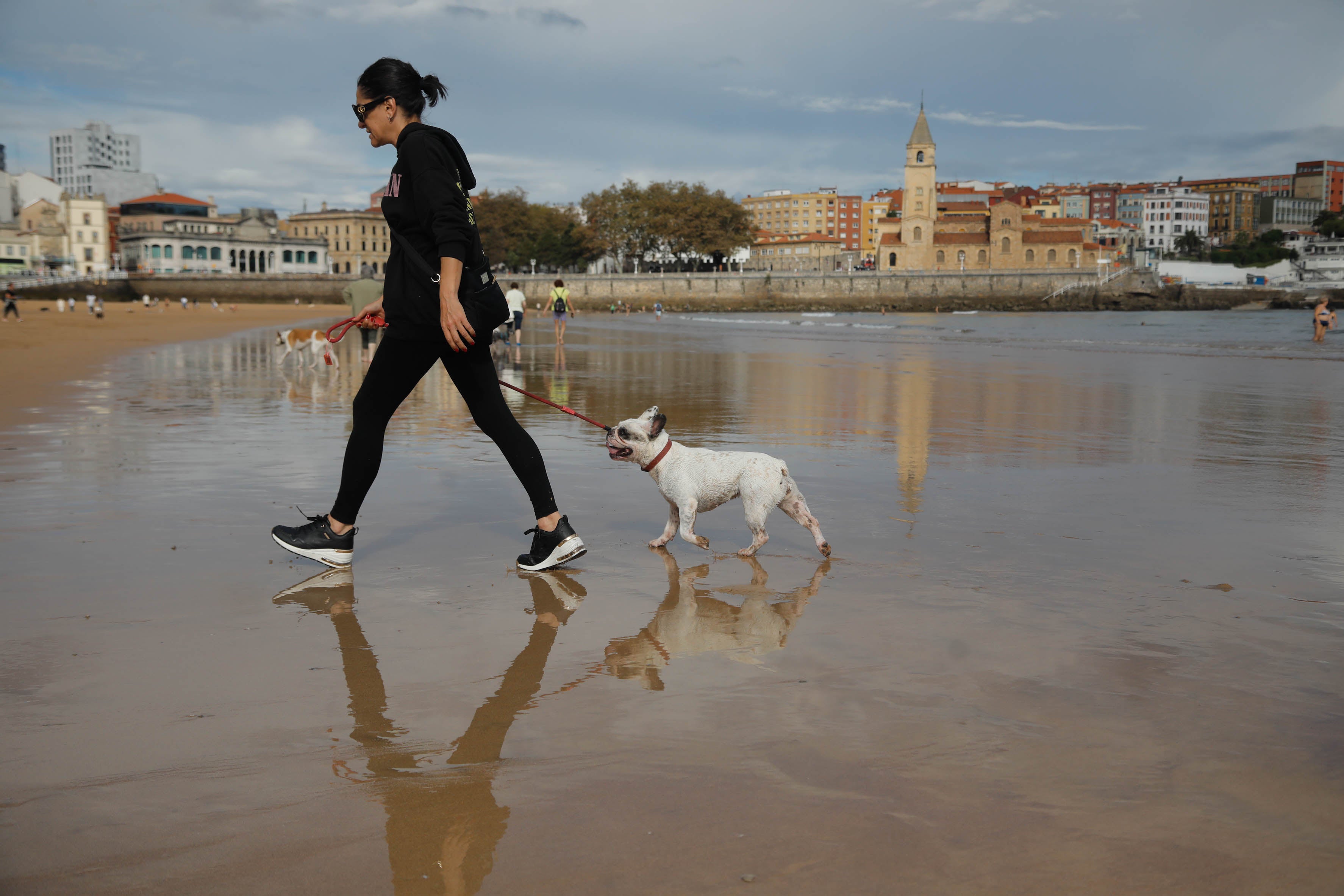 Diversión canina en San Lorenzo: los perros vuelven a playa