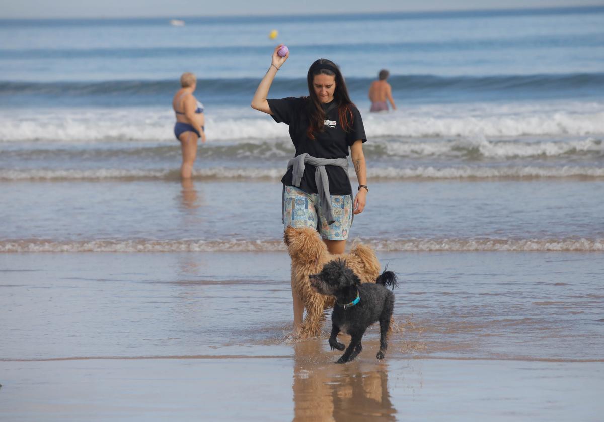 Diversión canina en San Lorenzo: los perros vuelven a playa