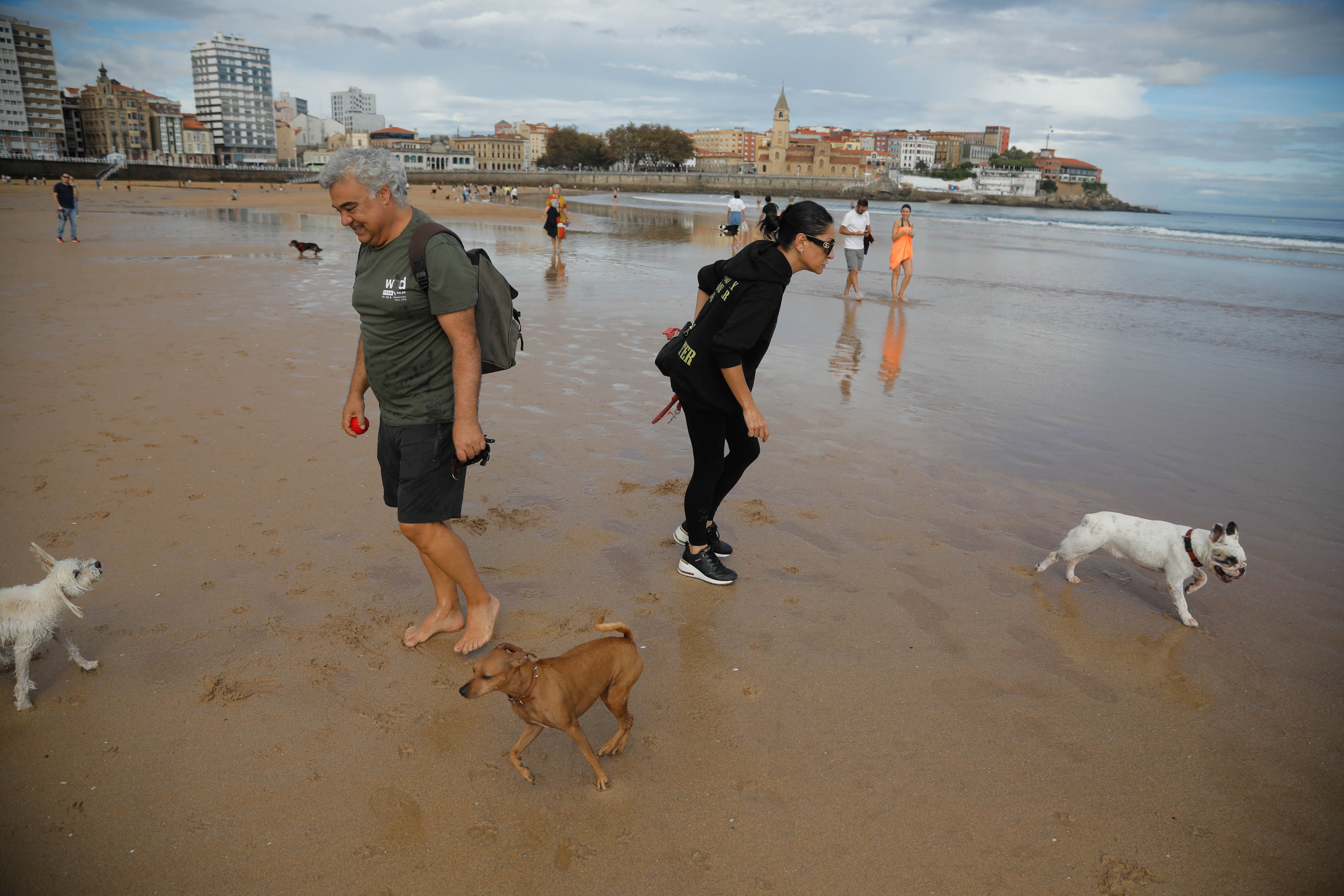 Diversión canina en San Lorenzo: los perros vuelven a playa