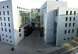 La vista oral se ha celebrado este miércoles a puerta cerrada en la Sección Segunda de la Audiencia Provincial, con sede en Oviedo, y quedó vista para sentencia.