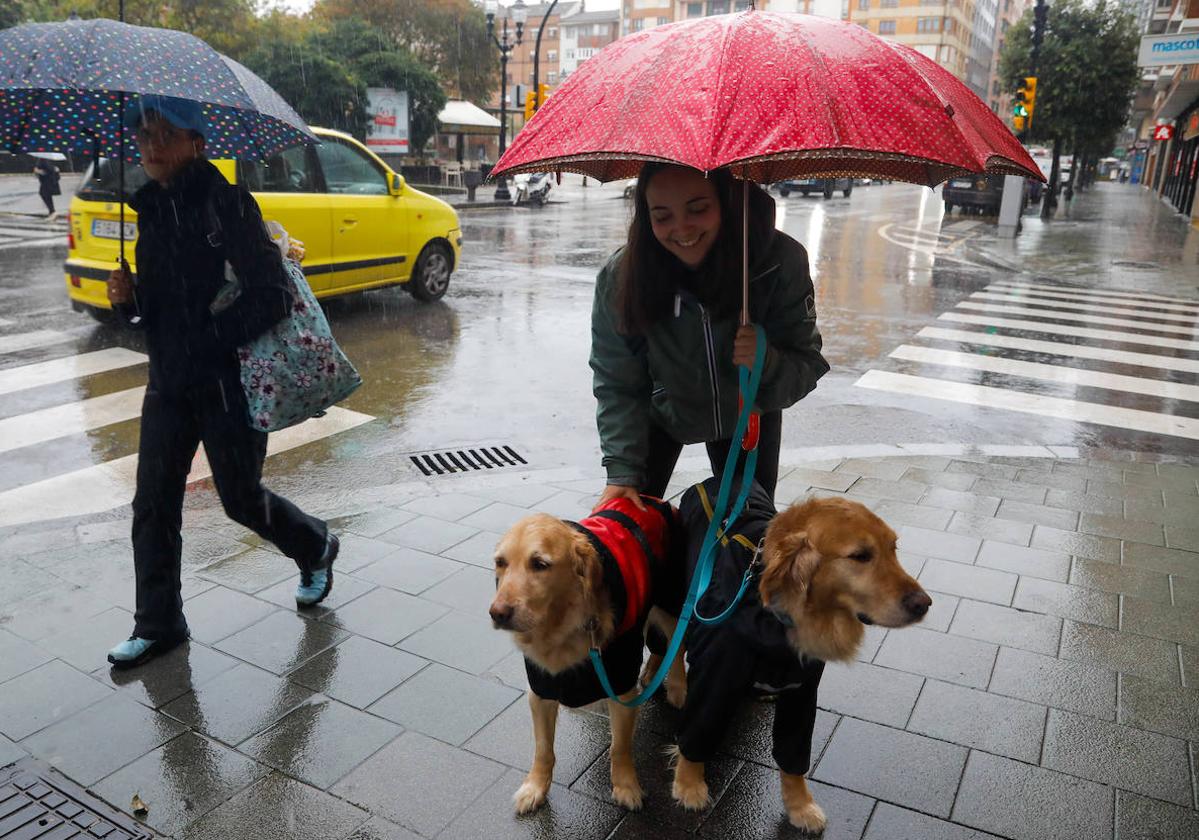 Una mujer pasea en Gijón a sus perros, este miércoles.