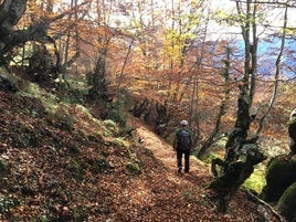 Hacer planes con la montaña y el deporte como fondo, disfrutando del otoño en su máxima plenitud, es cosa fácil en Asturias: descubre cuatro planes variados para la última quincena de octubre, todos con los montes y el deporte en la naturaleza como ejes conductores