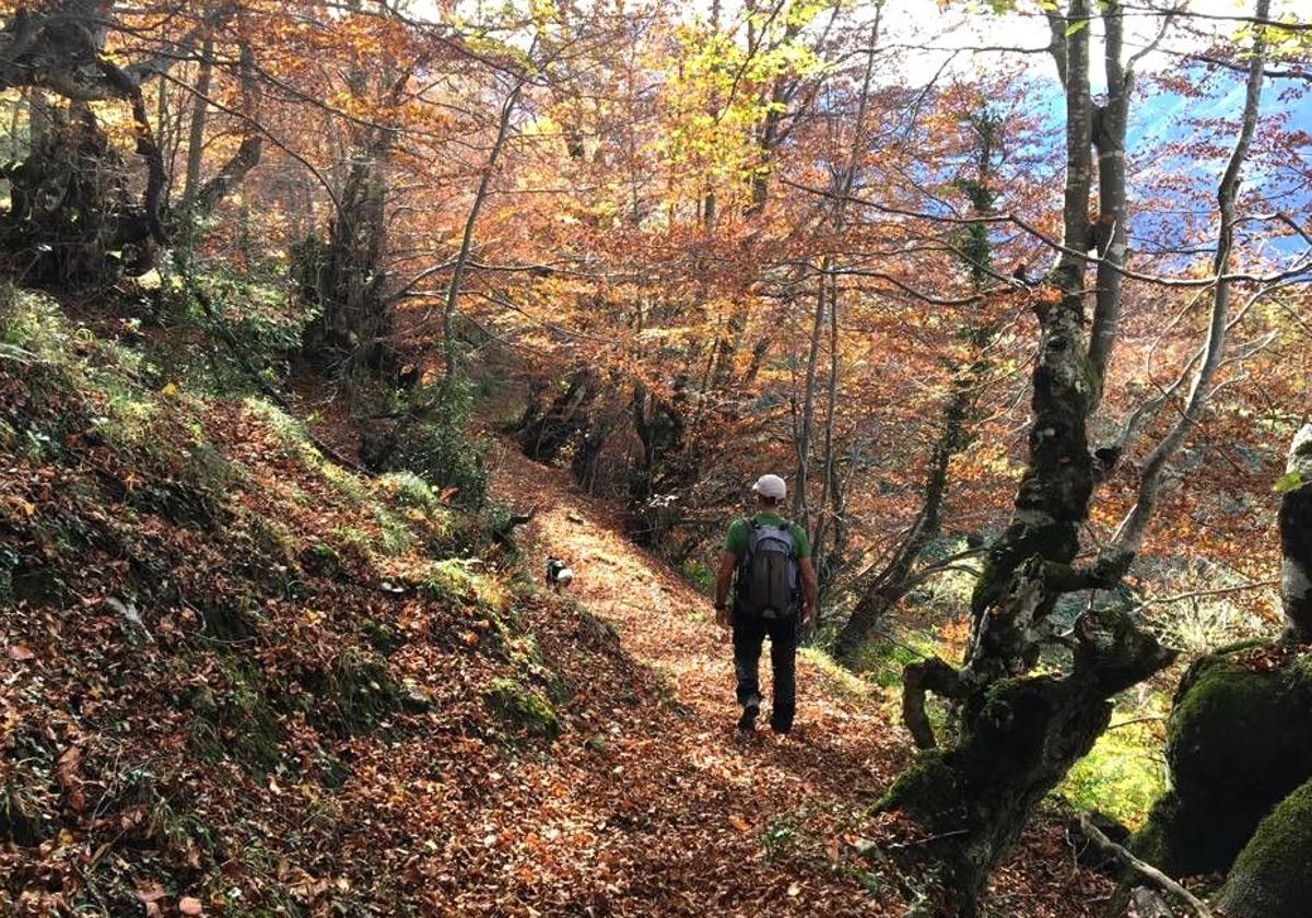 Hacer planes con la montaña y el deporte como fondo, disfrutando del otoño en su máxima plenitud, es cosa fácil en Asturias: descubre cuatro planes variados para la última quincena de octubre, todos con los montes y el deporte en la naturaleza como ejes conductores