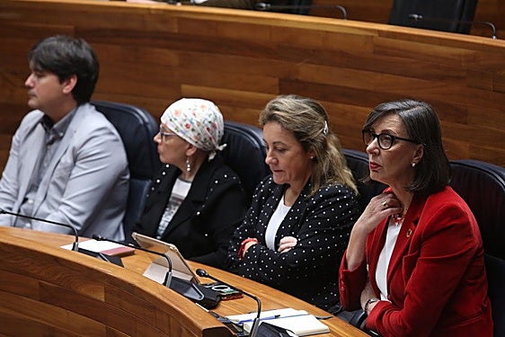 Los consejeros Borja Sánchez, Concepción Saavedra, Lydia Espina y Nieves Roqueñí, en el pleno de ayer.