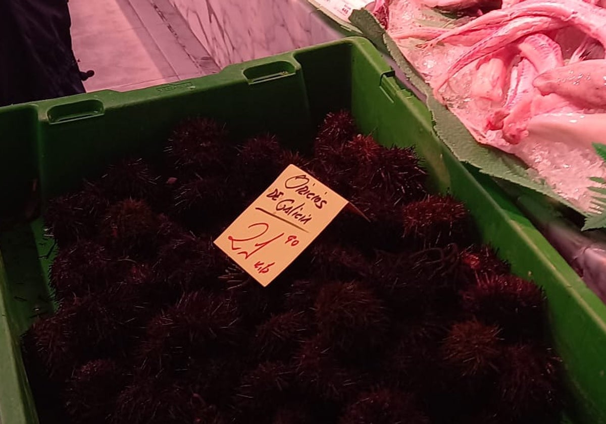 Cajón de oricios a 21,90 esta mañana en la gijonesa pescadería El Molinón, en La Arena.