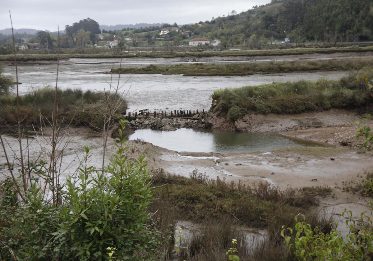 Porreo en la ría de Villaviciosa.