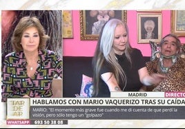 En la imagen, el cantante y Olvido hablan con Ana Rosa Quintana. En el vídeo, Alaska da la última hora sobre el estado de salud de Mario Vaquerizo.