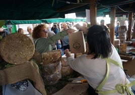 Uno de los puestos de una pasada edición del Certamen del Queso Gamonéu de Benia de Onís.