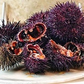 Oricios y pantrucu: así son los platos asturianos preferidos de la Princesa Leonor y la Infanta Sofía