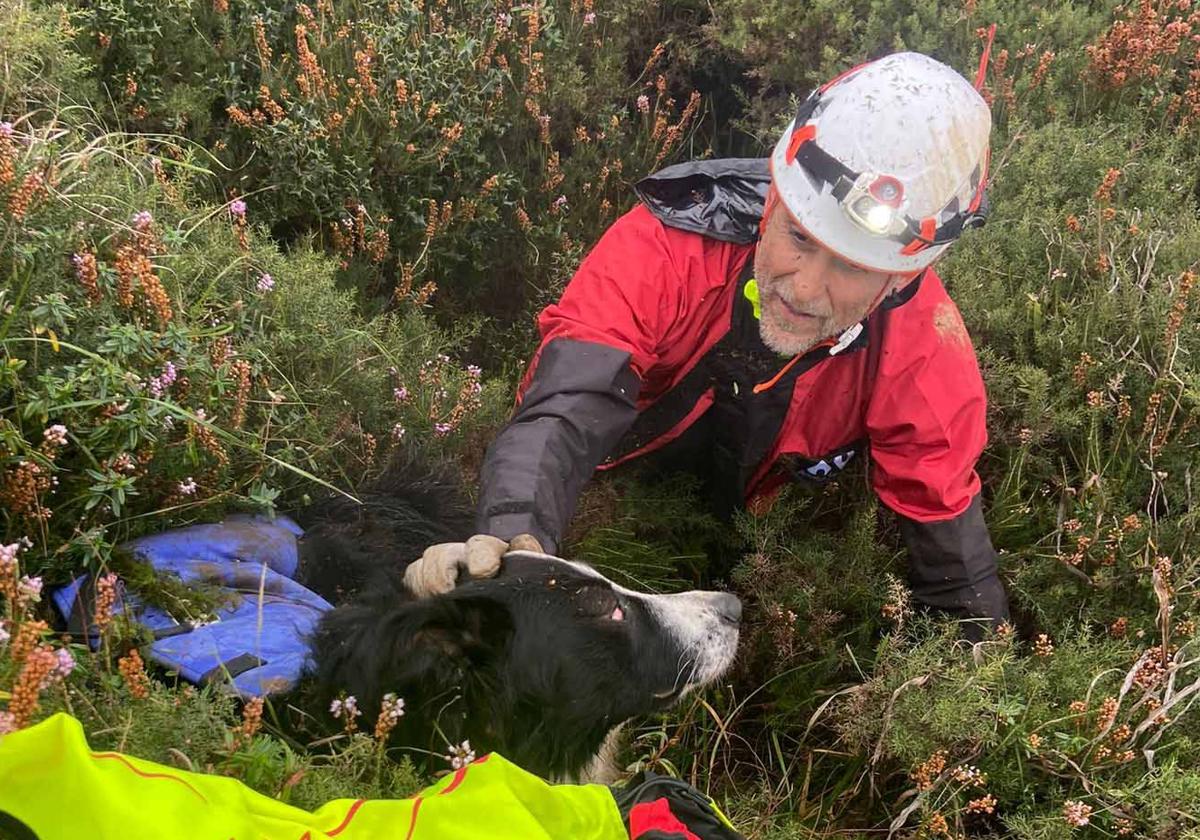 Final feliz para un perro que se cayó en un pozo de seis metros en Pico Pierzu