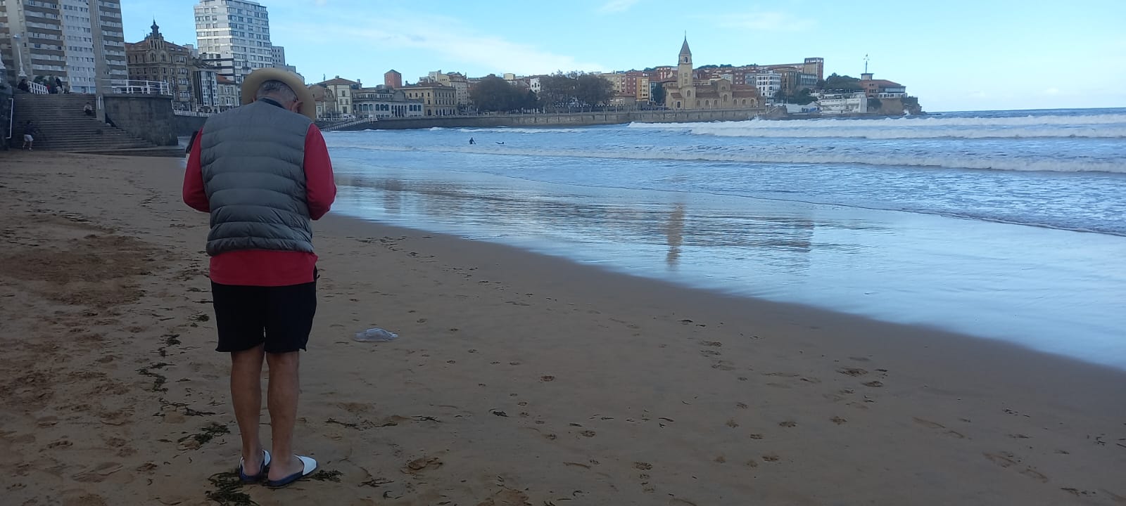 Las medusas reaparecen en Gijón