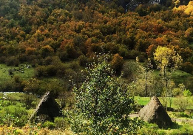 El domingo el protagonismo estará en los teitos y en la braña de Mumian, en la que se celebrará un taller sobre el arte de teitar que reflexionará sobre conservación y respeto