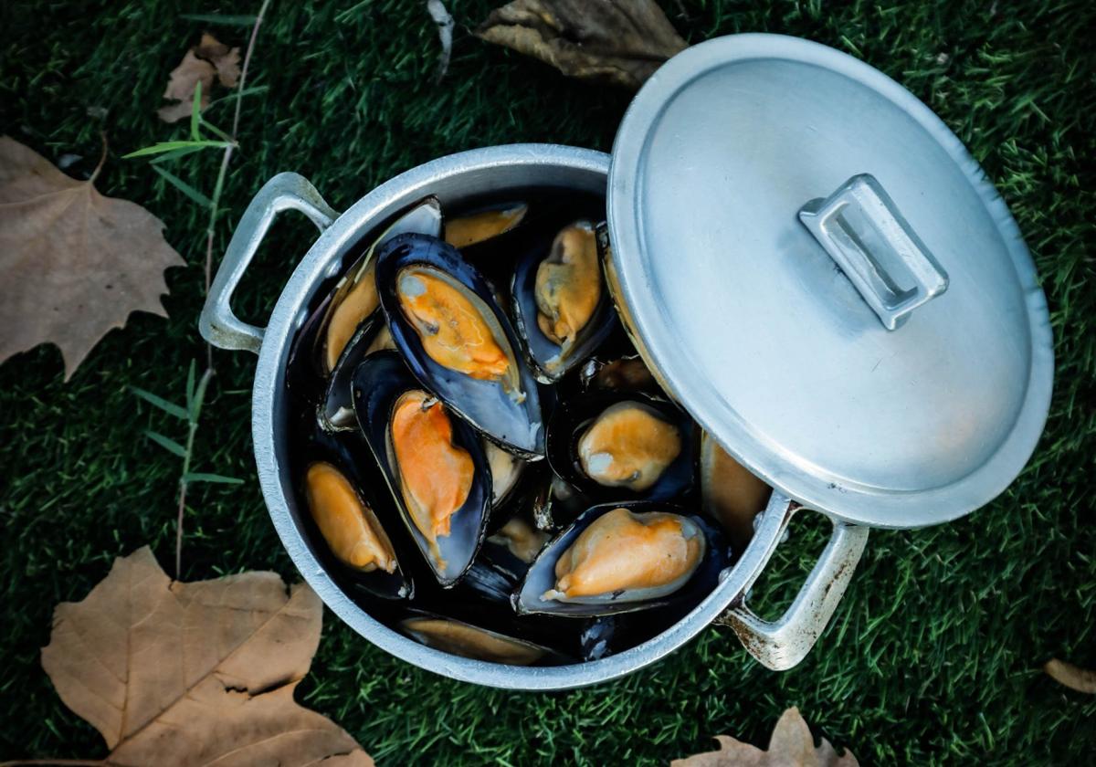 Cómo cocinar el mejillón