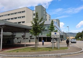 Hospital Álvarez-Buylla, en Mieres.