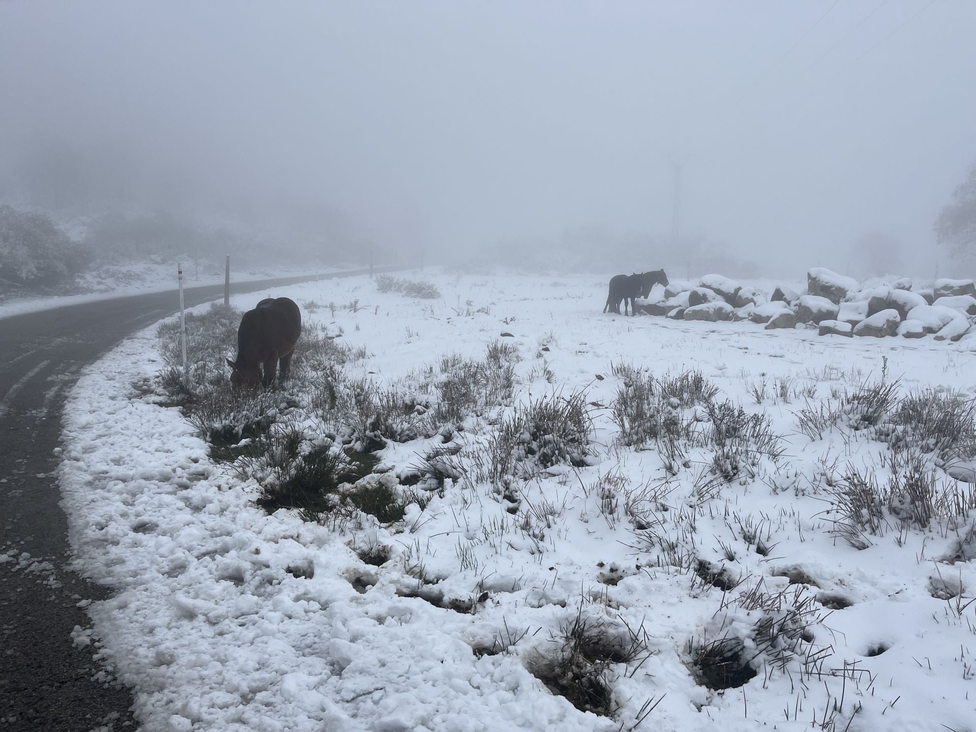 La nieve cubre el puerto de Pajares