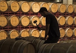 Proceso de rellenado en la bodega riojana Real Agrado, propiedad del grupo El Gaitero.