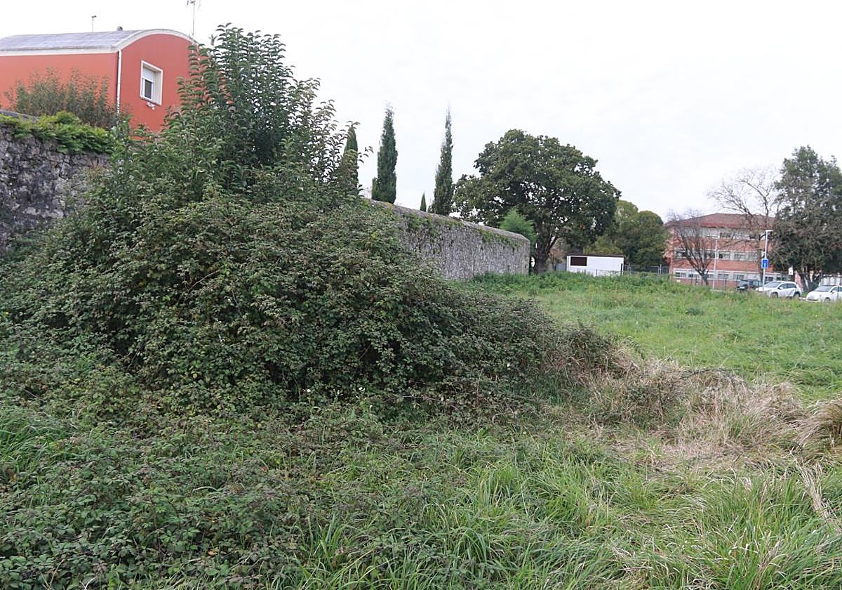 Zona del camino de Los Lirios en la que actuó el violador ahora detenido.