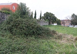 Zona del camino de Los Lirios en la que actuó el violador ahora detenido.