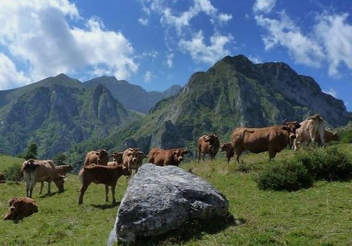 La ruta programada transitará por vegas de pastoreo y profundas gargantas, mostrando un paisaje espectacular de una zona poco conocida en el mapa senderista asturiano.