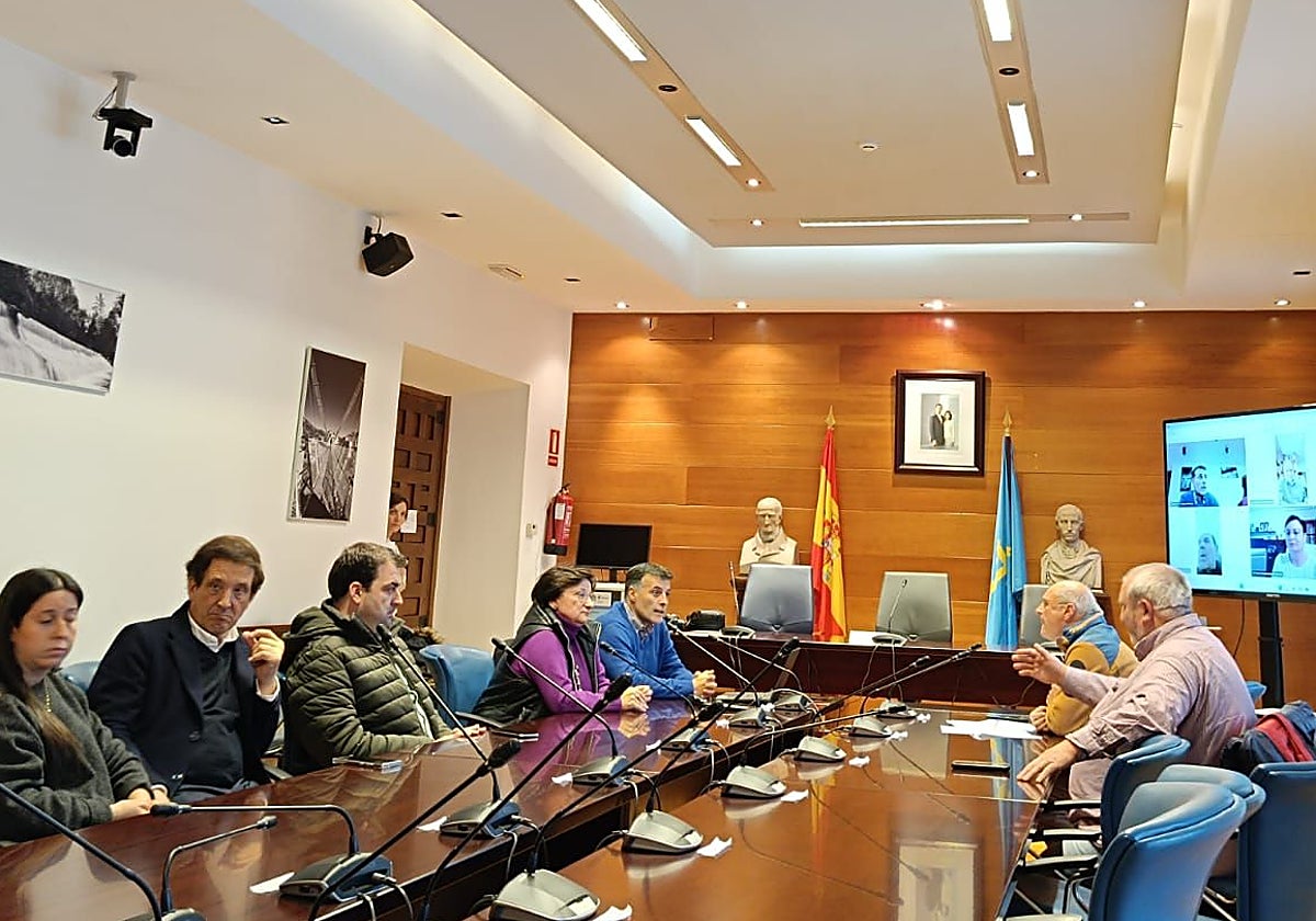 Alcaldes del suroccidente y de El Bierzo y asociaciones vecinales, en el salón de plenos del Ayuntamiento de Cangas del Narcea, en el encuentro.