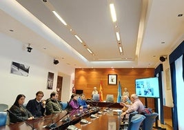 Alcaldes del suroccidente y de El Bierzo y asociaciones vecinales, en el salón de plenos del Ayuntamiento de Cangas del Narcea, en el encuentro.