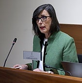 El Principado reitera que la planta de DRI en la siderurgia de Asturias es un objetivo «irrenunciable»