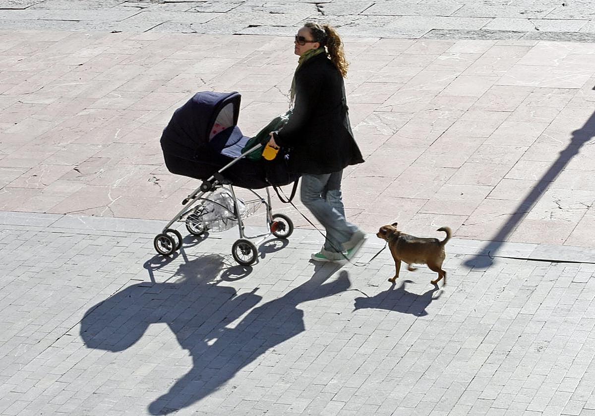 Una de las partidas está destinada a la promoción de la natalidad.