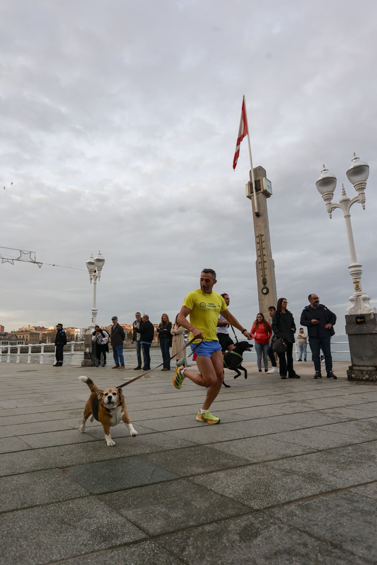 Zancadas de solidaridad: las imágenes de la carrera anti-sida en Gijón