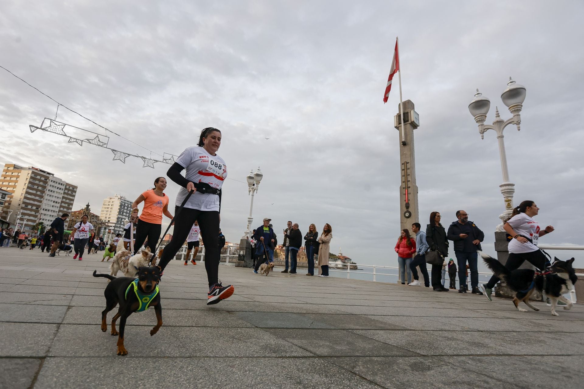 Zancadas de solidaridad: las imágenes de la carrera anti-sida en Gijón